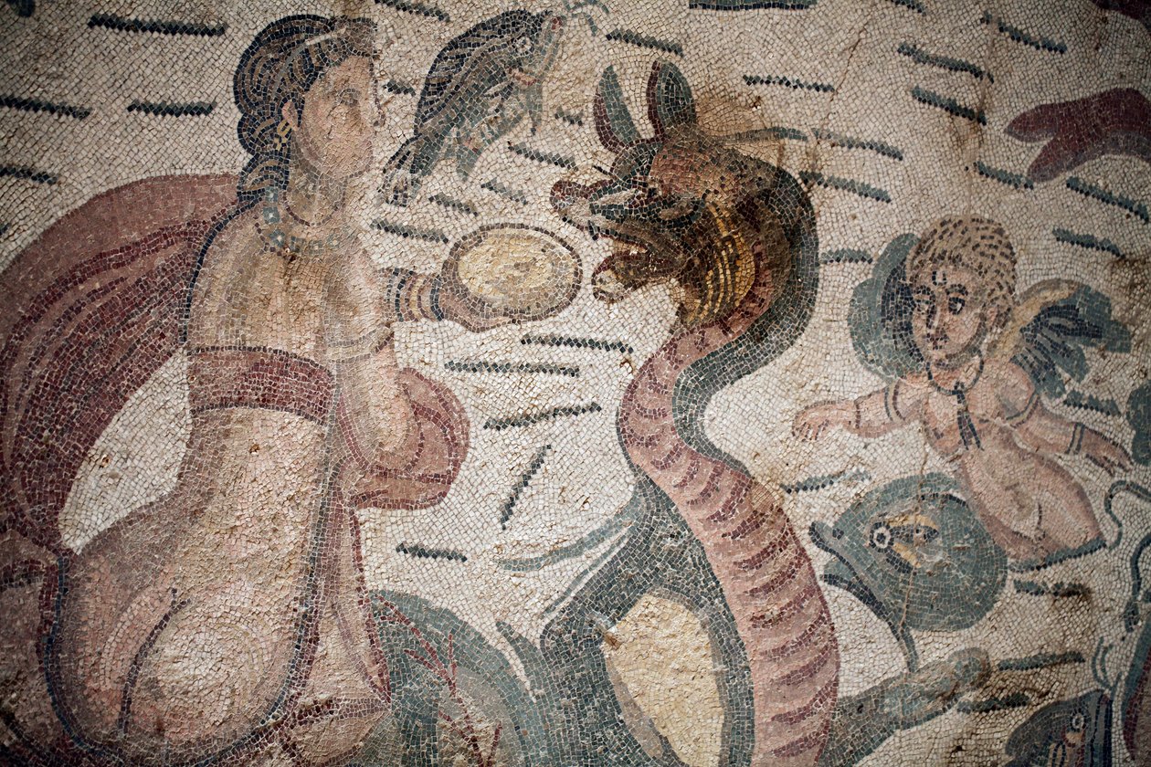 Salle d