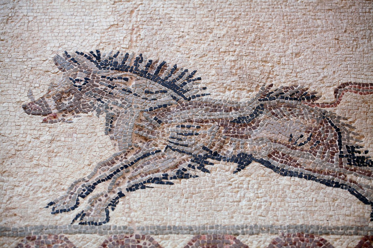 Scène de chasse : Un sanglier - Mosaïques de Paphos, Maison de Dionysos - Fin du IIe siècle après J.-C. - Chypre - William M. Timlin