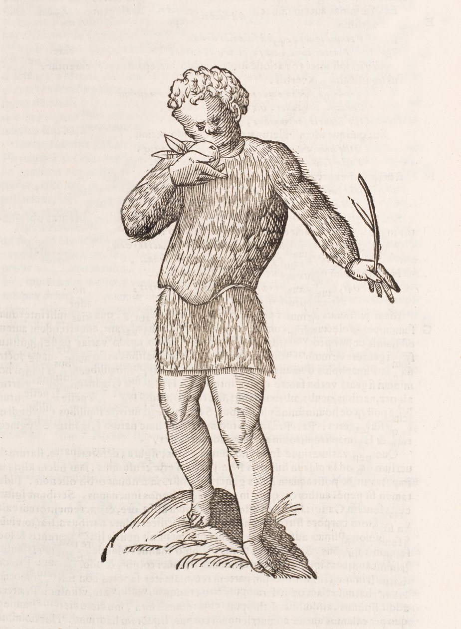Illustration d