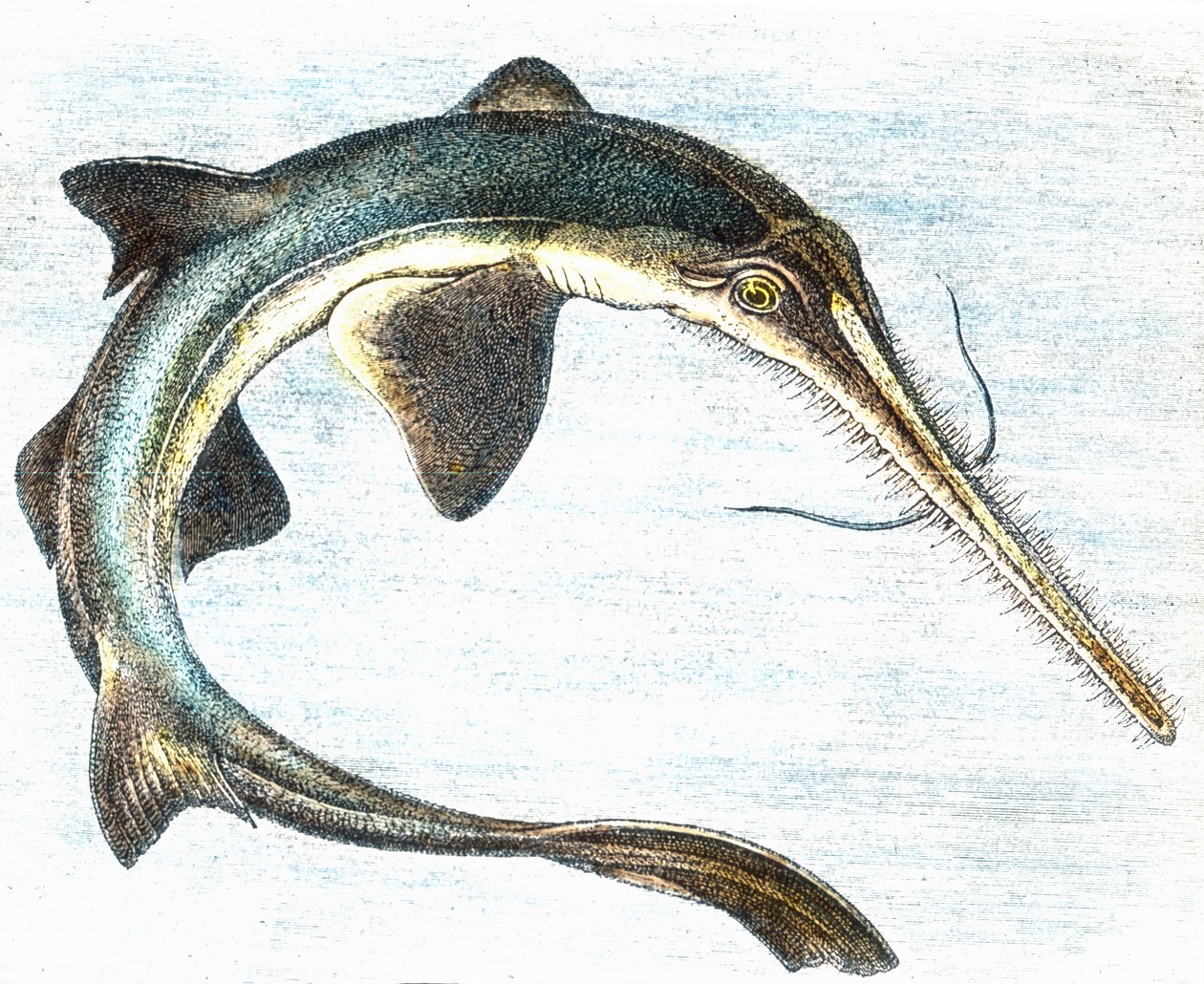 Illustration d