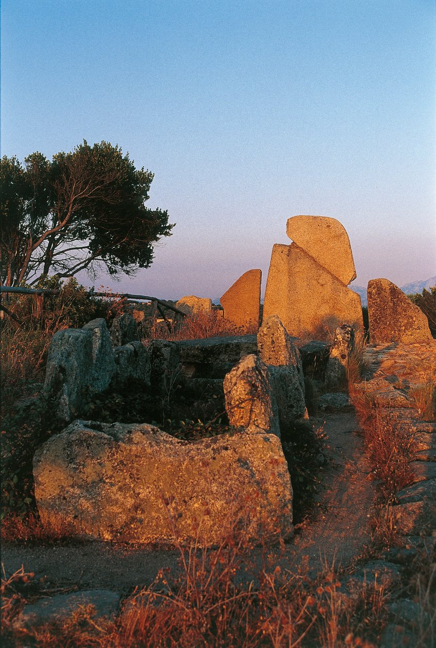 Italie, Sardaigne, Arzachena, province d