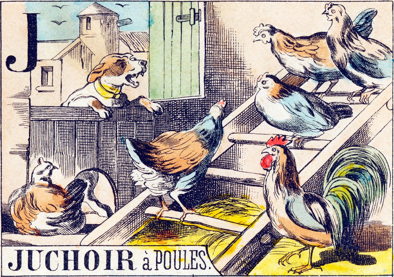 J Juchoir à poules - "Alphabet de la ferme" fin du 19e siècle (gravure) - Unbekannt