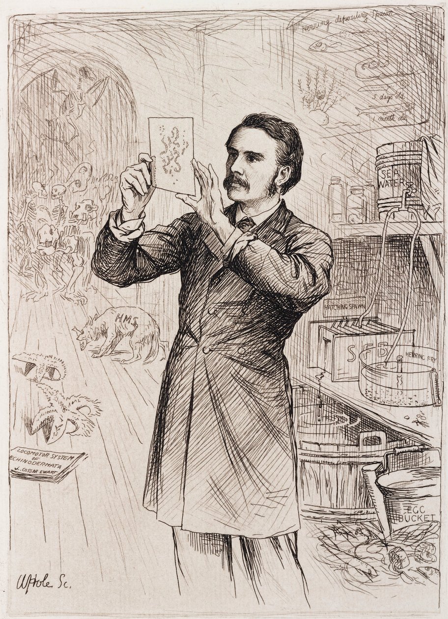 James Cossar Ewart, zoologiste - Unbekannt