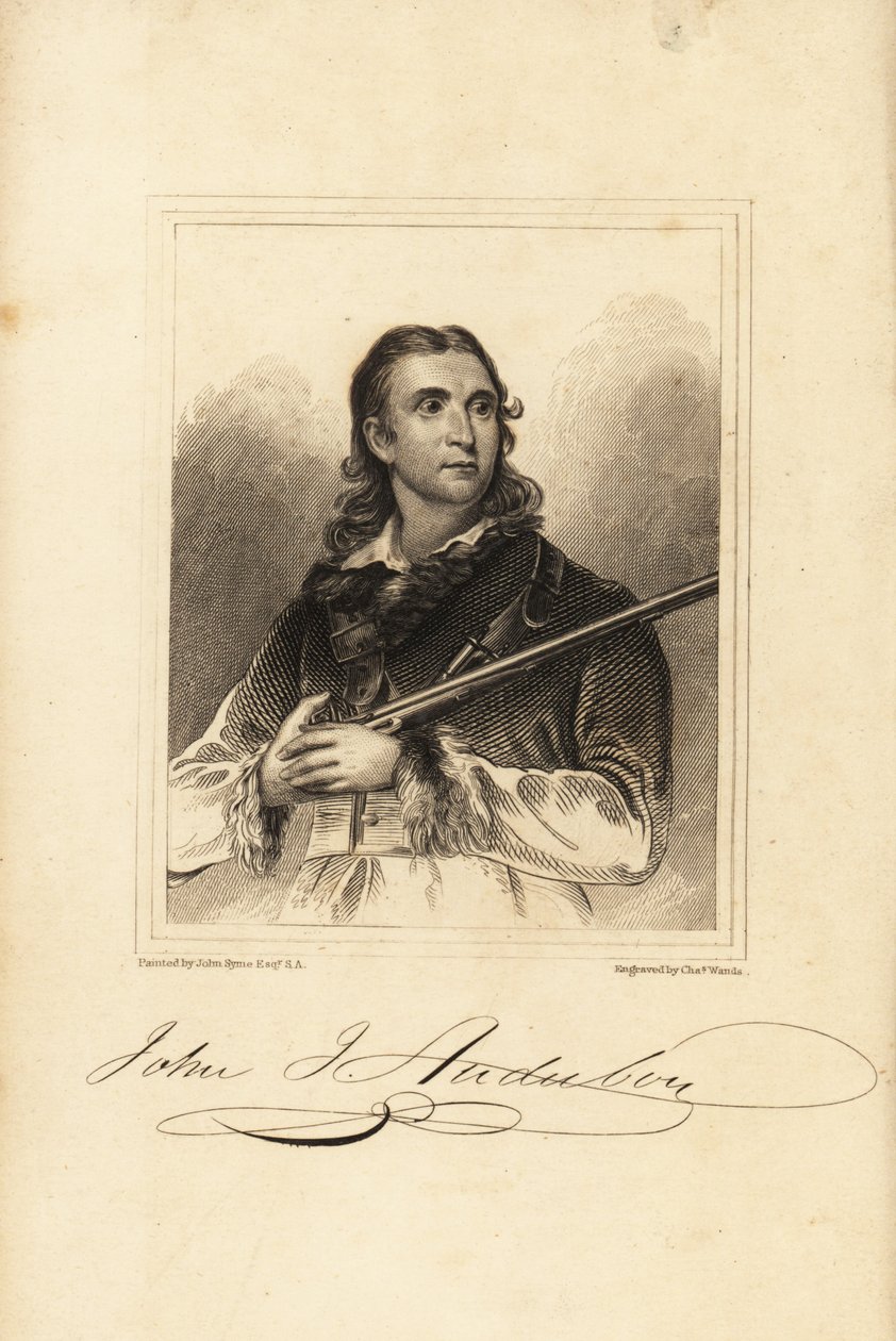 John James Audubon, ornithologue, naturaliste et peintre américain - Unbekannt