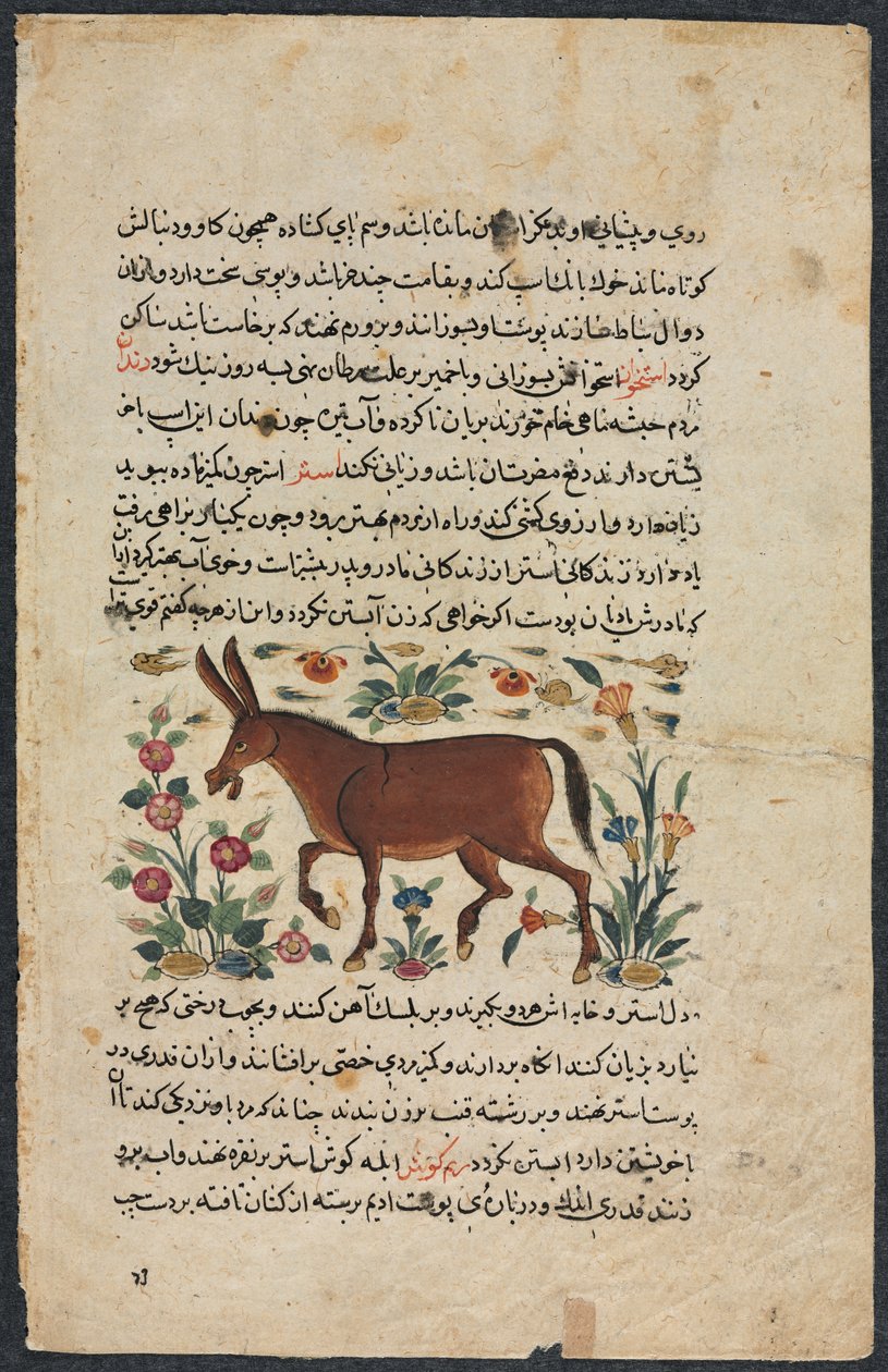 Khar (âne), d
