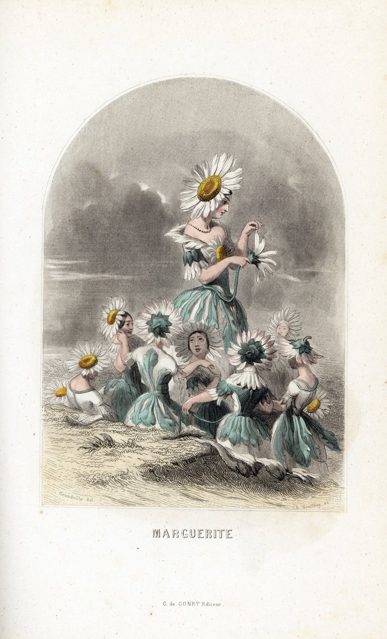 Les fées des marguerites des prés, coiffées de chapeaux de fleurs, l