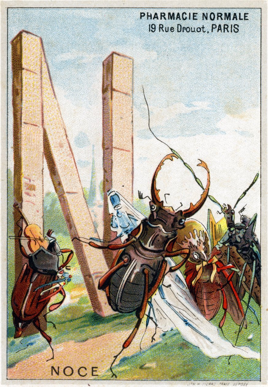 Lettre N comme noces. Alphabet artistique de M. Marinier. Édité par Henry Sicard, fin 19ème siècle. Chromolithographies publicitaires pour des produits vendus en pharmacie. Dim : 12,5 x 9 cm - Unbekannt