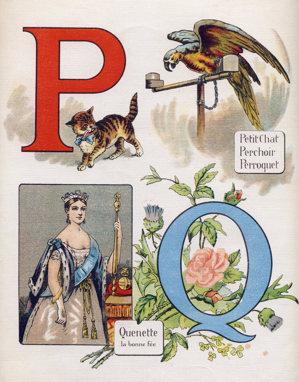 Lettre P et Q : petit chat, perche, perroquet et quenet, la bonne fée. Gravure dans « ABC L