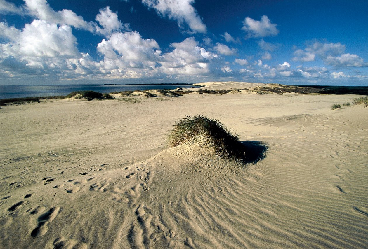 Lituanie, Klaipeda, Isthme de Courlande, Nida, dunes de sable mouvantes appelées Sahara prussien - William M. Timlin