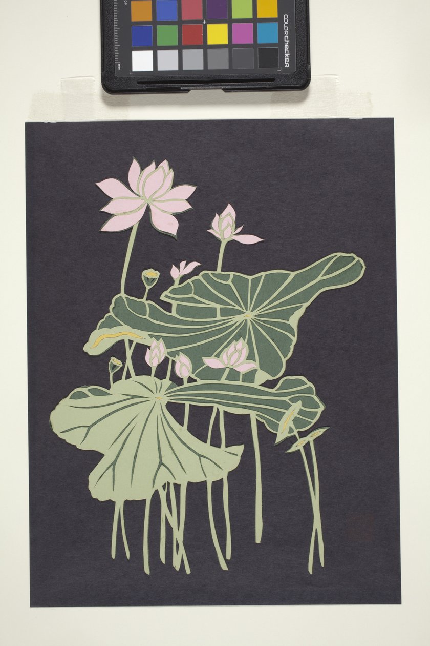 Lotus - Unbekannter Künstler