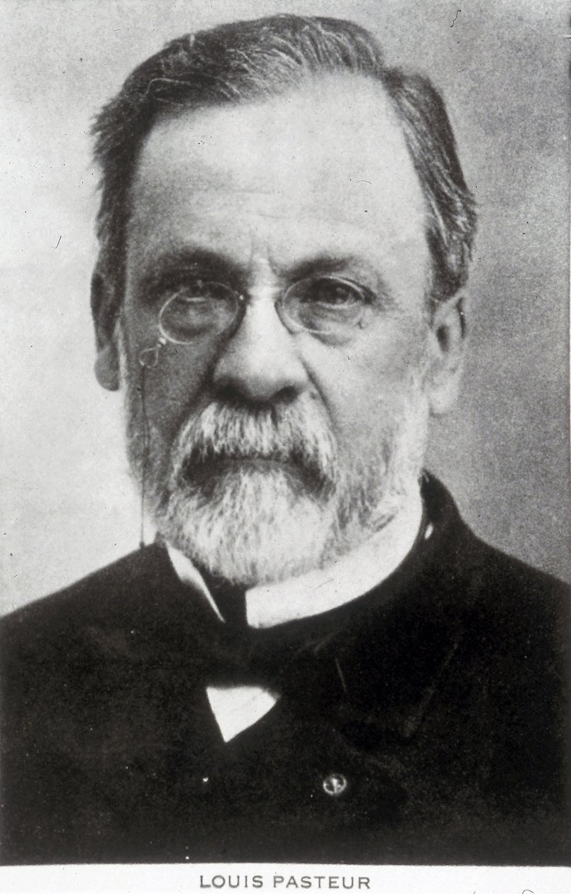 Louis Pasteur, chimiste et microbiologiste français, vers 1885 - Unbekannter Künstler
