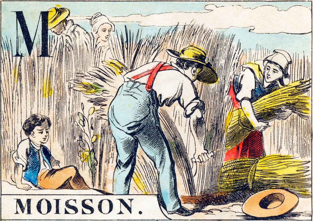 M Moisson - « Alphabet de la ferme » fin du XIXe siècle (gravure) - Unbekannt