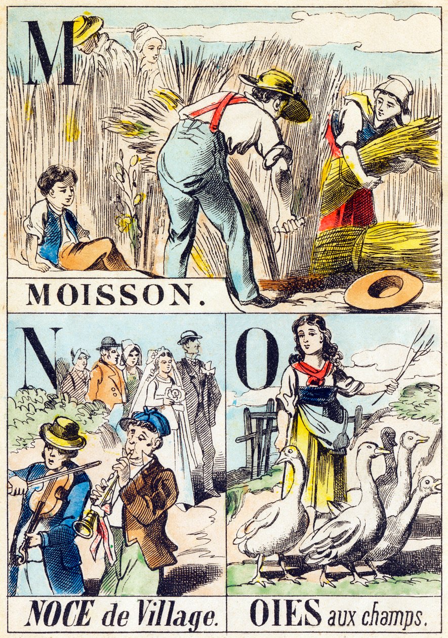 M N O : Moisson, Noce de village, Oies aux champs - "Alphabet de la ferme" fin du 19e siècle (gravure) - Unbekannt