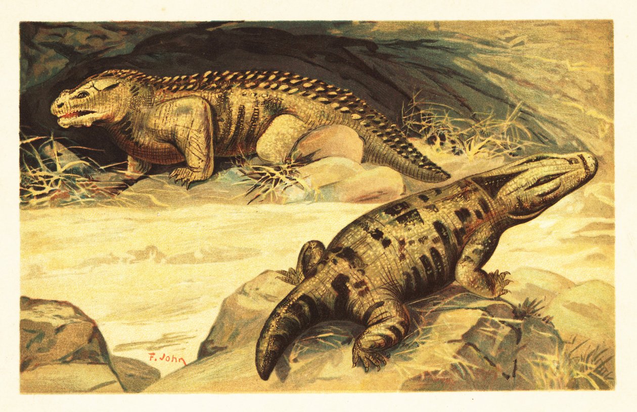 Mastodonsaurus et Pareiasaurus - Unbekannter Künstler
