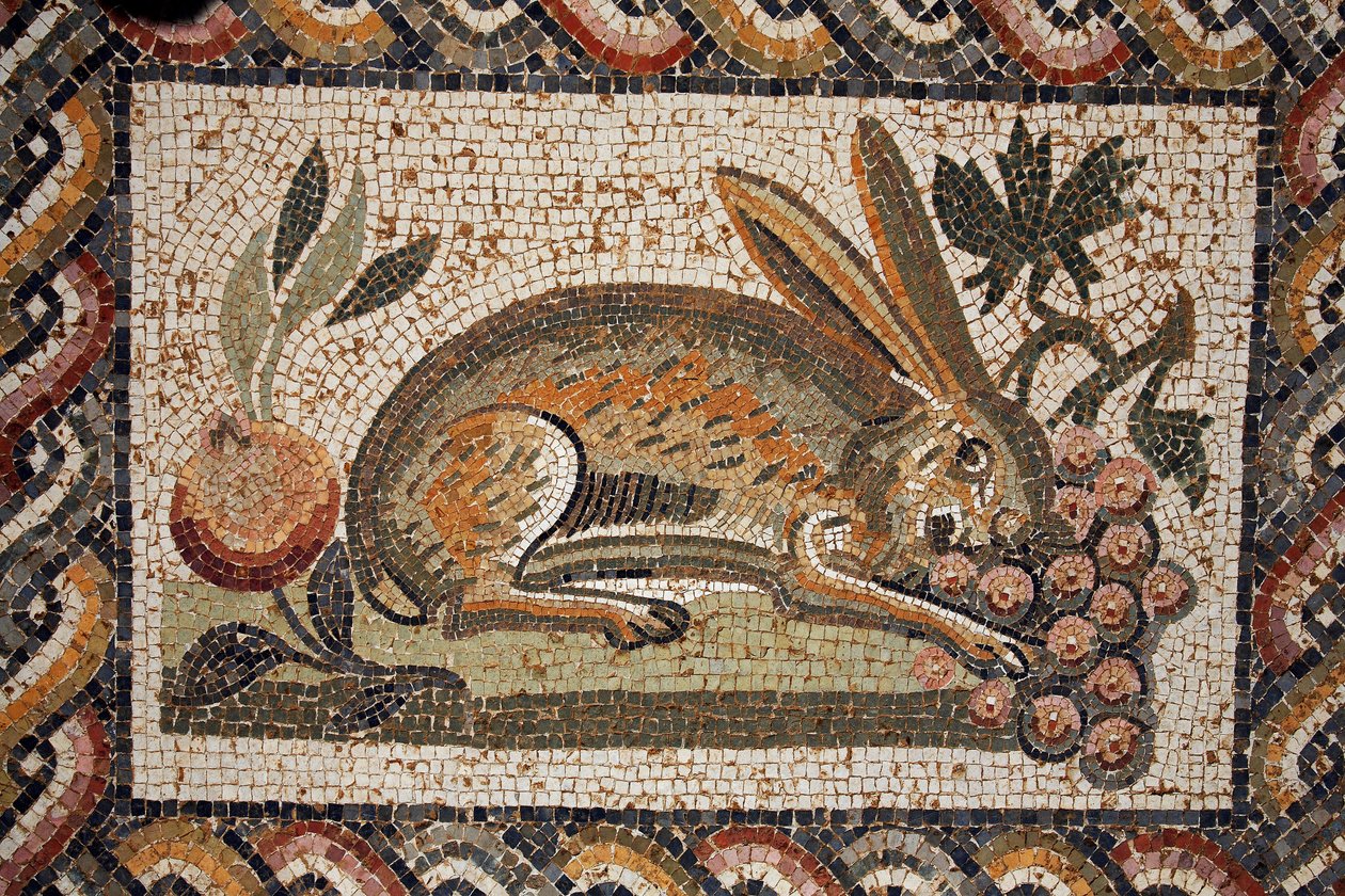 Mosaïque représentant un lièvre avec un regard espion broutant une grappe de raisins (2e moitié du IIe siècle ap. J.-C.) / in situ à El Jem (Antique Thysdrus) / Tunisie - Unbekannt