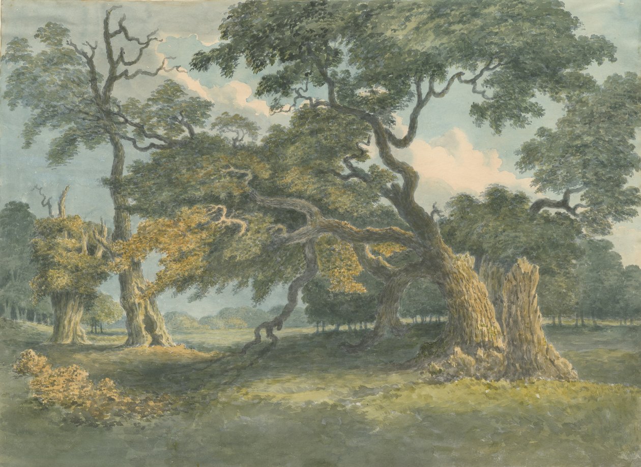 Needwood - Chêne : peinture à l