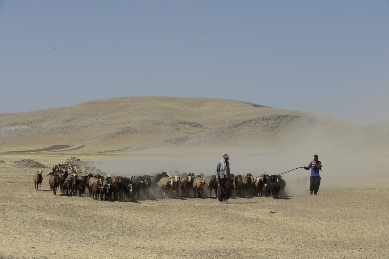 Tentes nomades entre Tamar et Ashkhaneh, Iran 2022 - Unbekannter Künstler