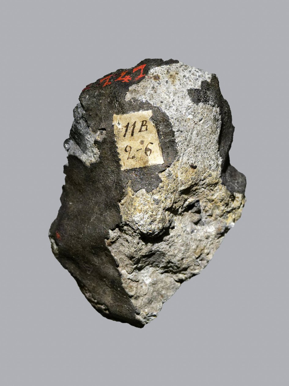 Chondrite ordinaire (LL5). Tombée à Sienne (Italie) en 1794. Musée national d