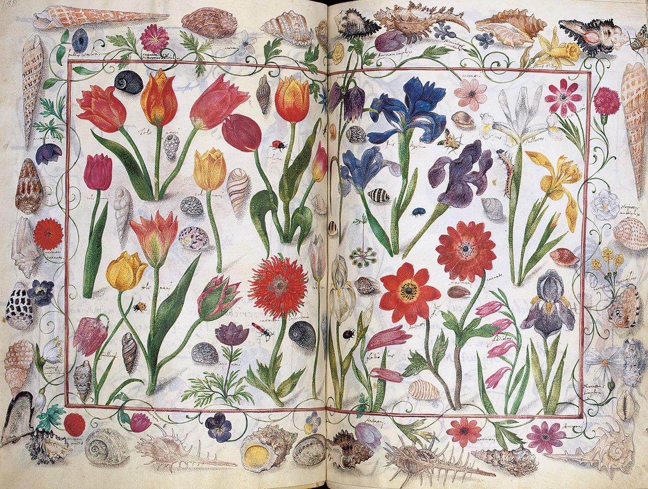 Pages de l