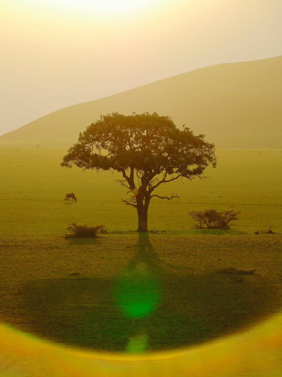 Paradis après la pluie, Chyulu Hills, 2018 - Unbekannter Künstler