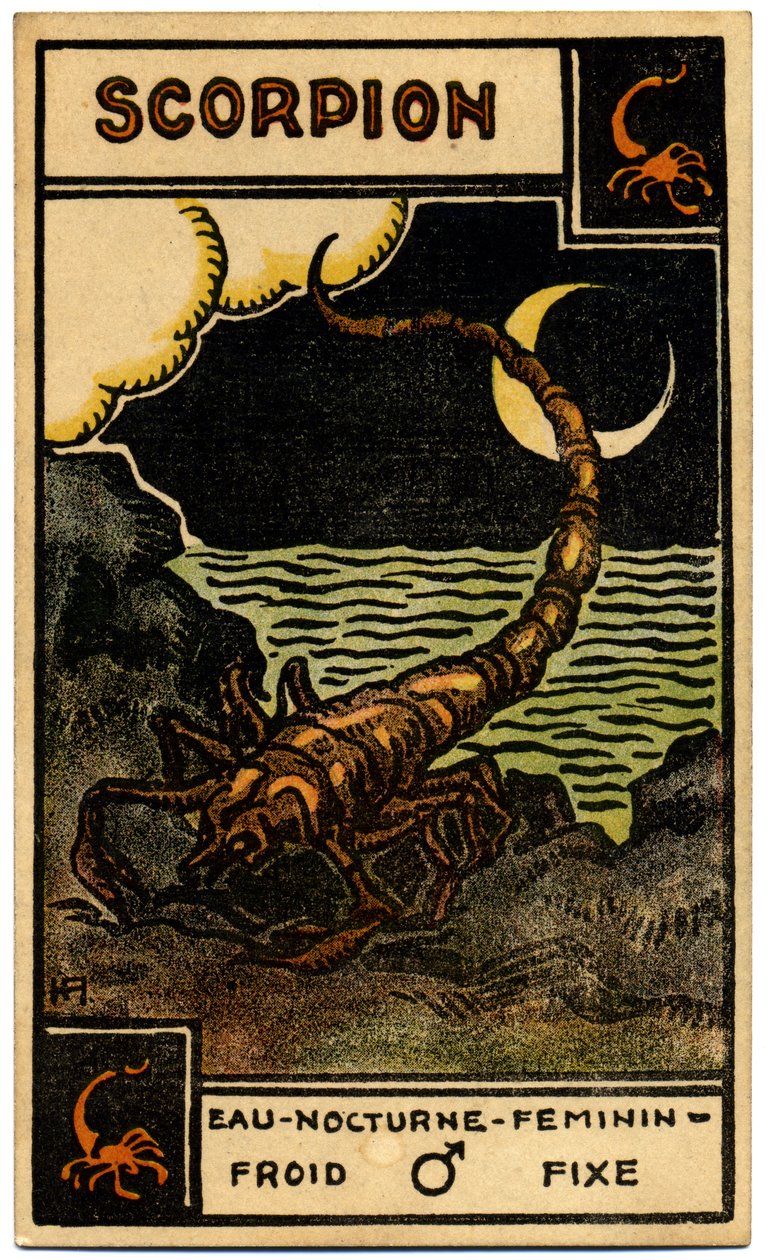 Paranormal. Astrologie. Scorpion (le Scorpion). Carte astrologique de : Le Tarot Astrologique, par Georges Muchery, France - Unbekannter Künstler