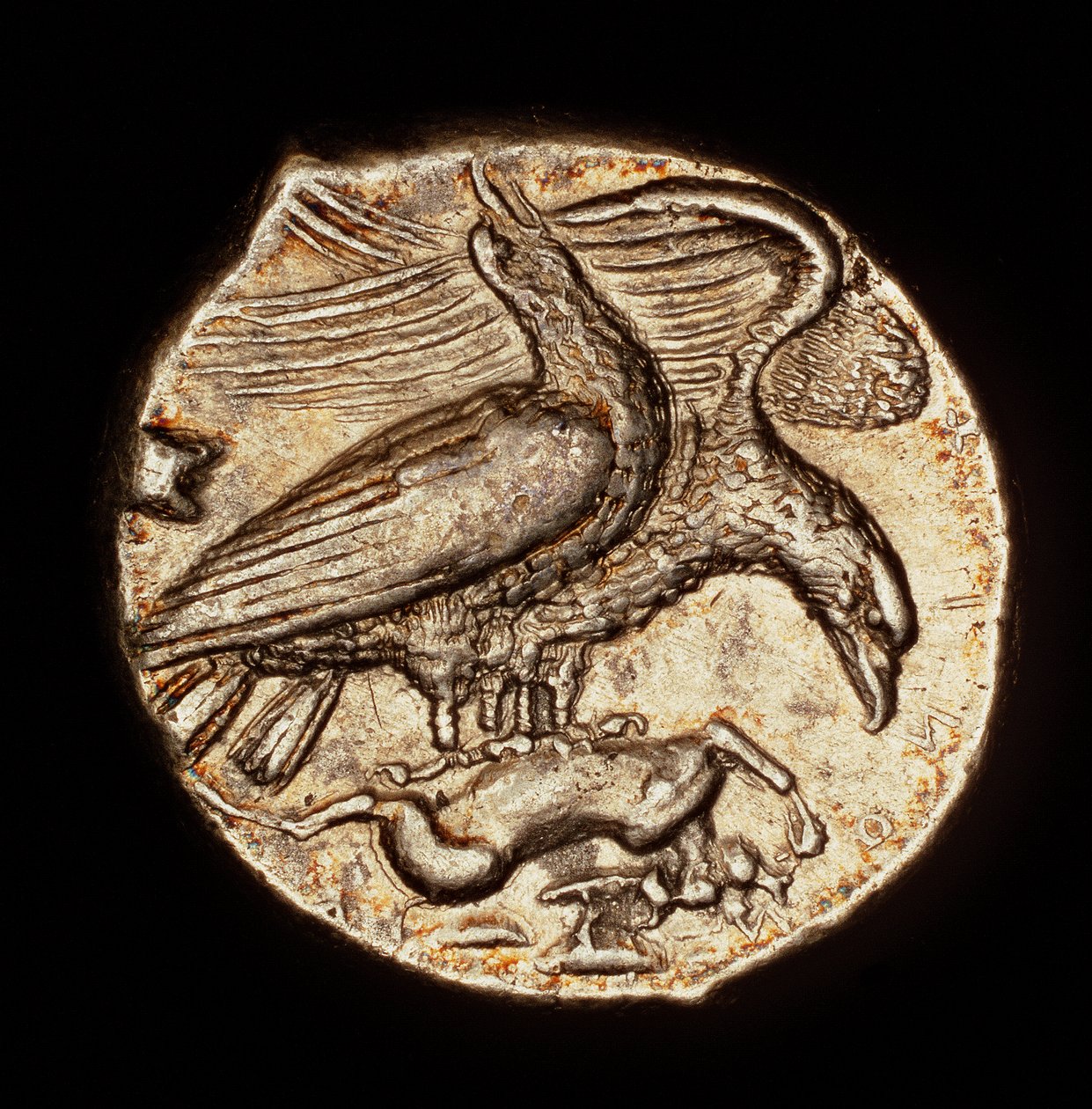 Rare pièce grecque antique, drachme d