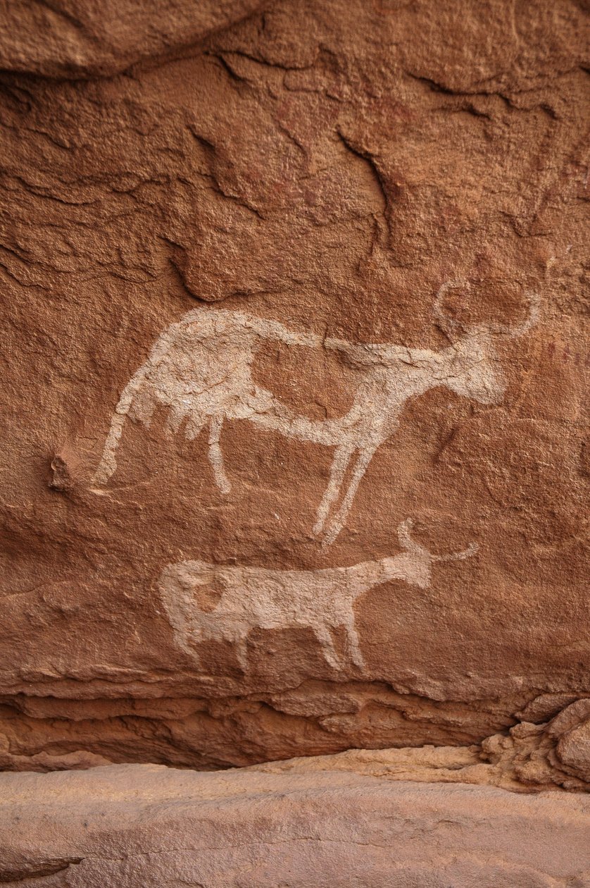 Art rupestre, Préhistoire : Peinture rupestre de deux vaches à longues cornes dans un abri orné, dans le massif de l