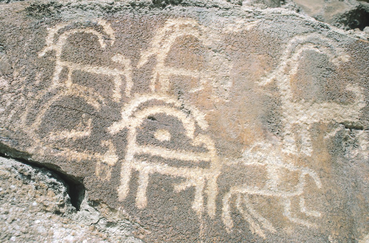 Gravures rupestres dans la vallée de Hunza, près de la zone archéologique de Karimabad, Pakistan - Benjamin Baud