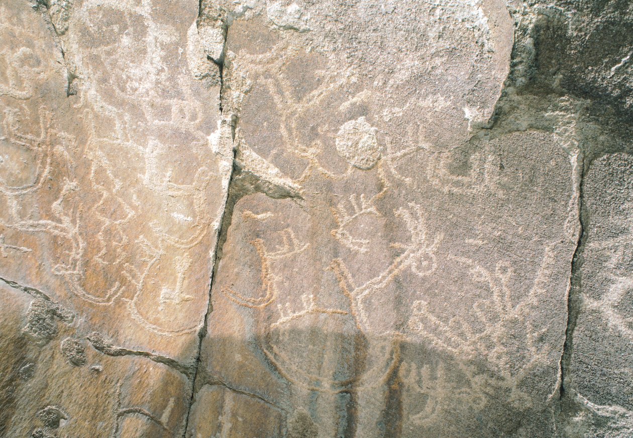 Gravures rupestres dans la vallée de Hunza, près de la zone archéologique de Karimabad, Pakistan - Benjamin Baud