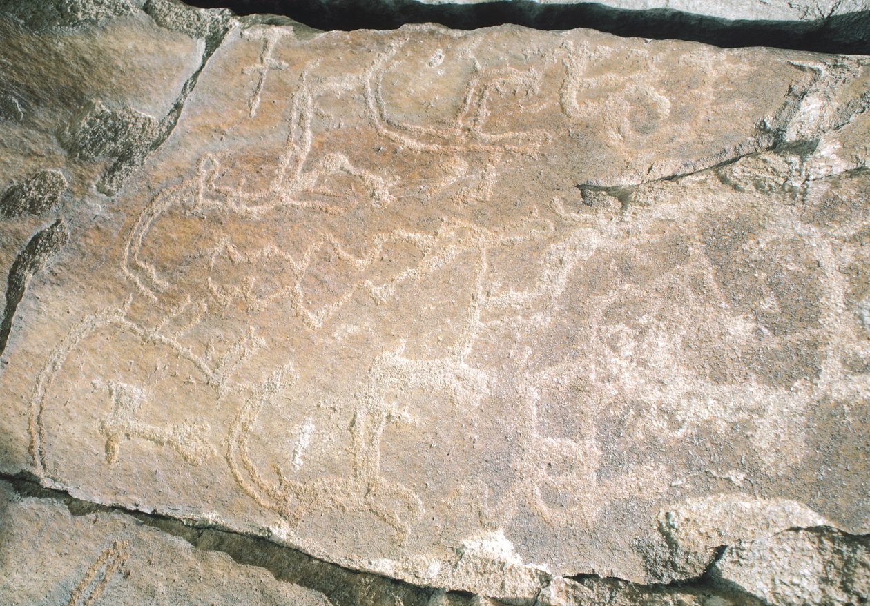 Gravures rupestres dans la vallée de Hunza, près de la zone archéologique de Karimabad, Pakistan - William M. Timlin