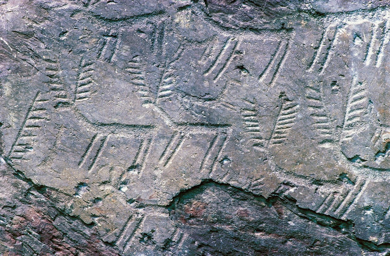 Gravures rupestres dans le Parc archéologique national des Massi di Cemmo, Val Camonica (Liste du patrimoine mondial de l