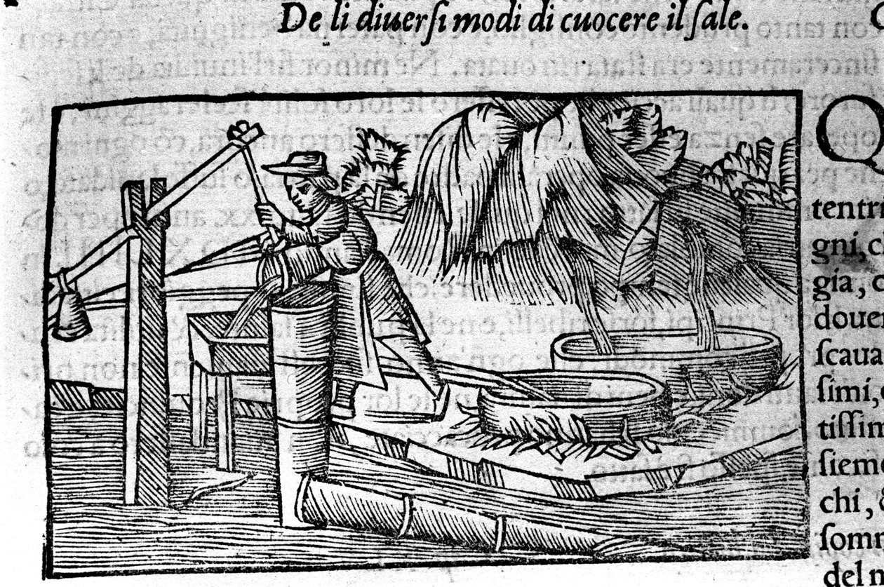 Production de sel : cuisson. Gravure par Olaus Magnus (1490-1557), religieux et géographe suédois, « Historia de Gentis Septentrionalibus », Venise - Unbekannt