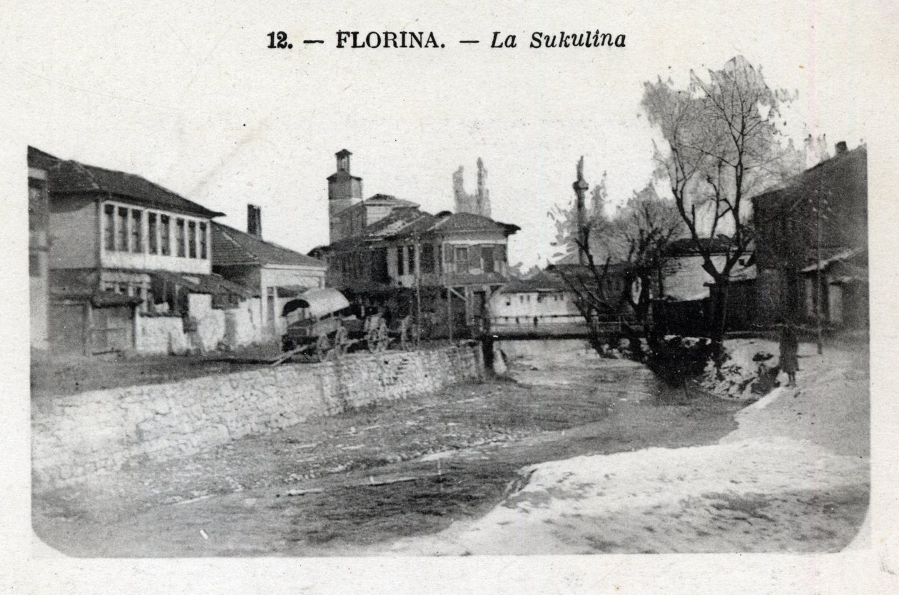 Serbie, Florina (actuelle Grèce) : vue de la Sukulina - Carte postale 1914-1918 - William M. Timlin