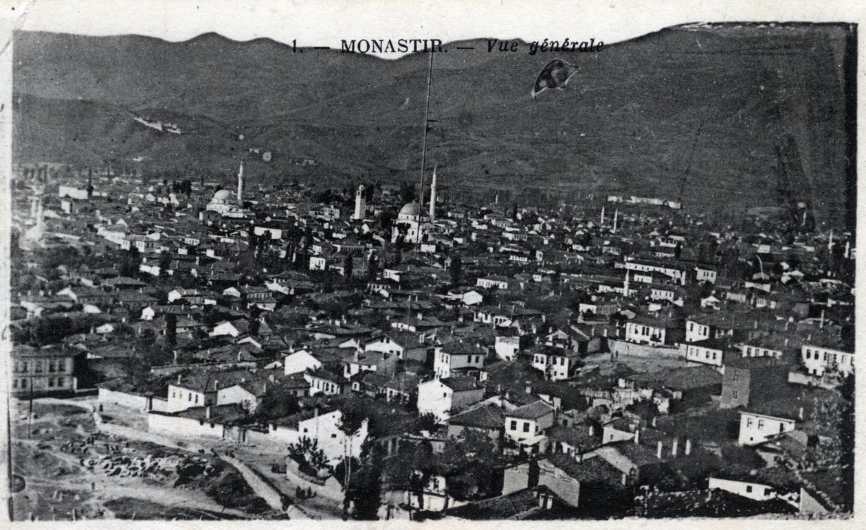 Serbie, Monastir : vue générale de la ville, Monastir est désormais appelée Bitola et est située en Macédoine - Carte postale 1914-1918 - William M. Timlin