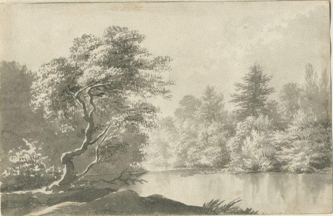 Shenstone - Étang près de Little Aston: dessin lavis sépia, nd [19e siècle] - Unbekannt