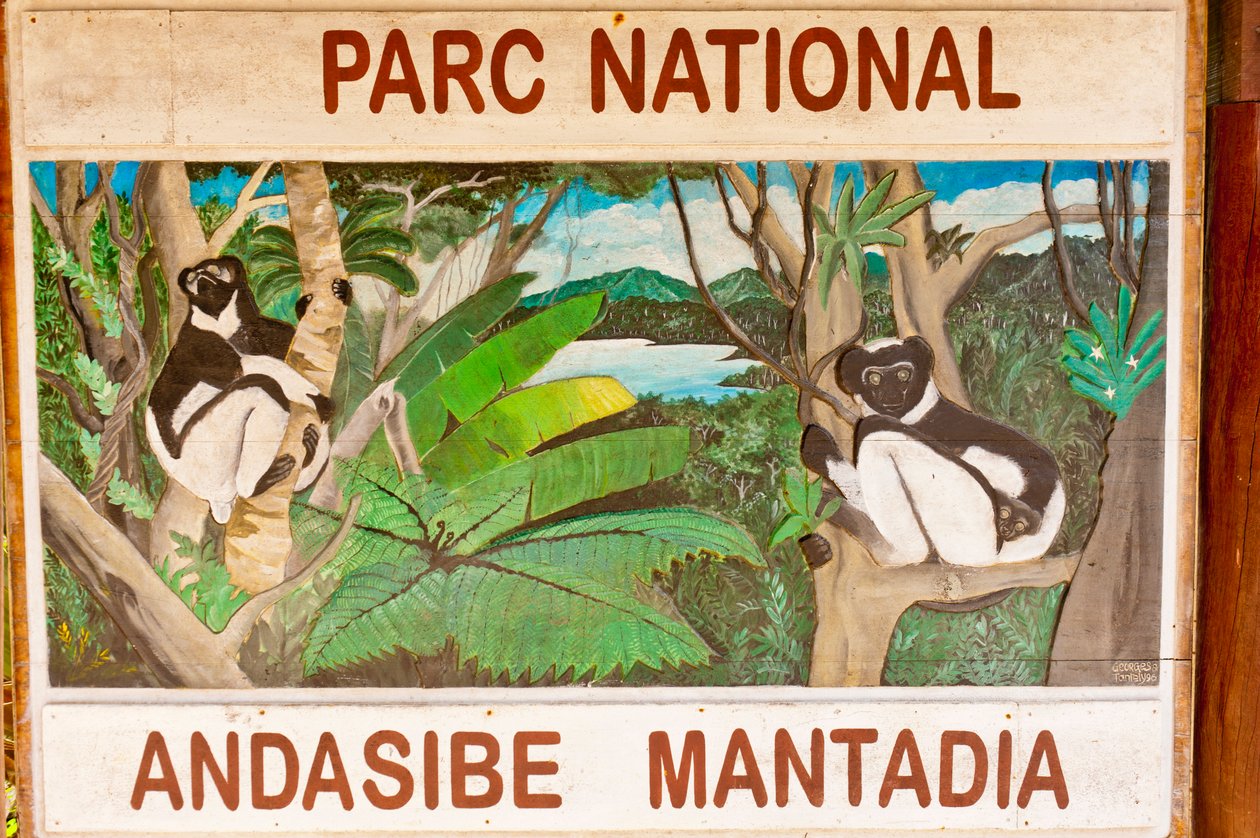 Panneau représentant des lémuriens dans la jungle ; Parc national d