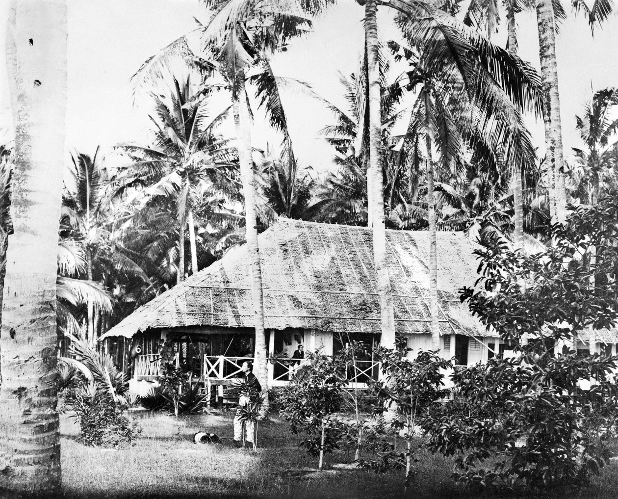 Singapour : Un bungalow privé entouré de palmiers. Singapour, vers 1875 - Unbekannt