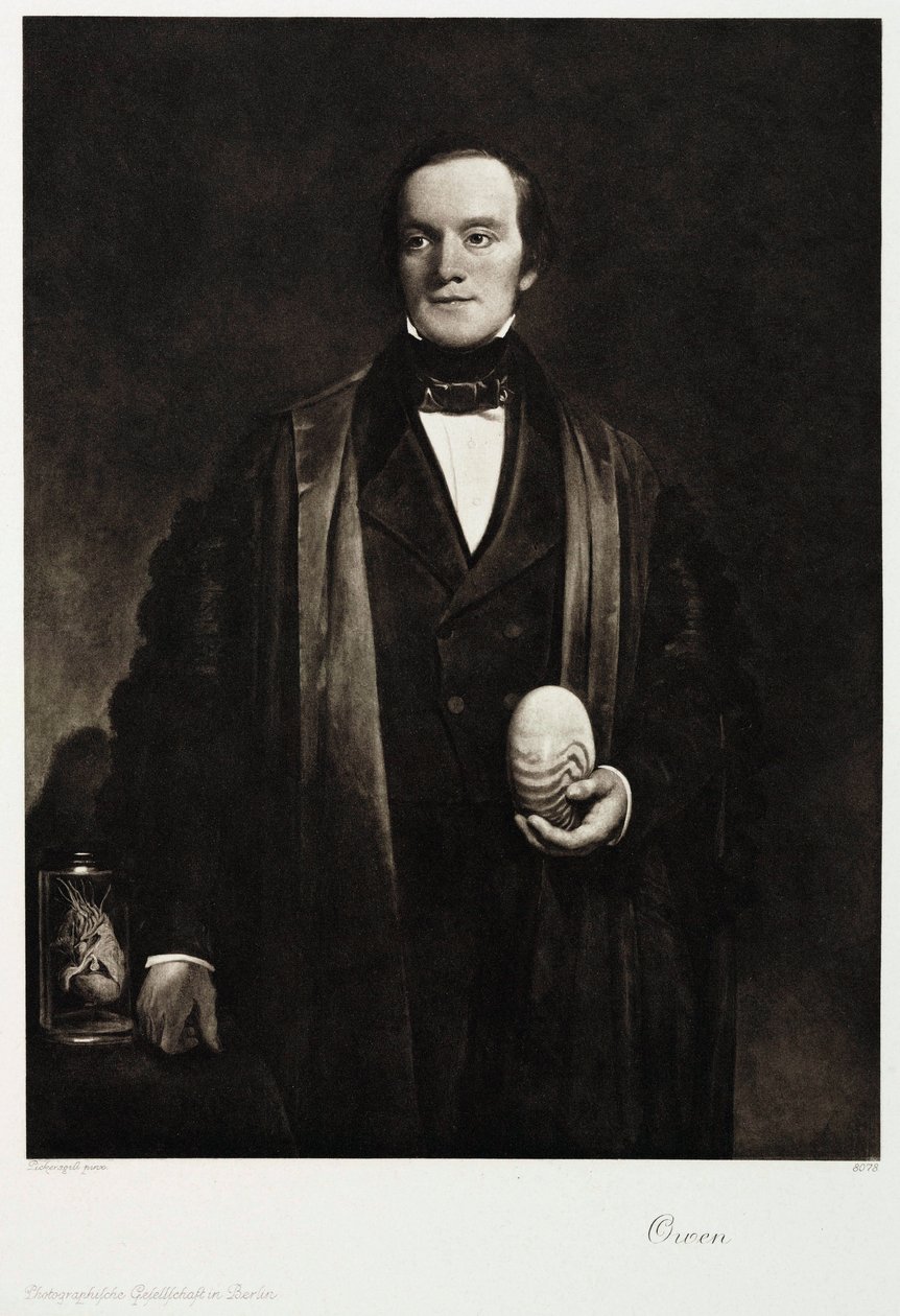 Sir Richard Owen, naturaliste et paléontologue anglais, vers 1845 - Unbekannt