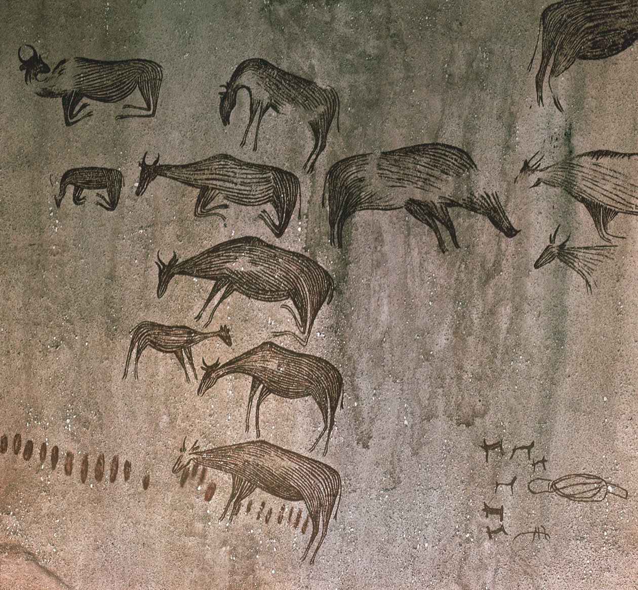 Tanzanie, région de Dodoma, dessins rupestres - Nicolas d