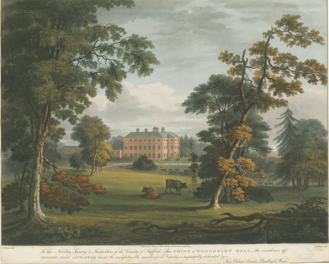 Teddesley Hall : gravure à l