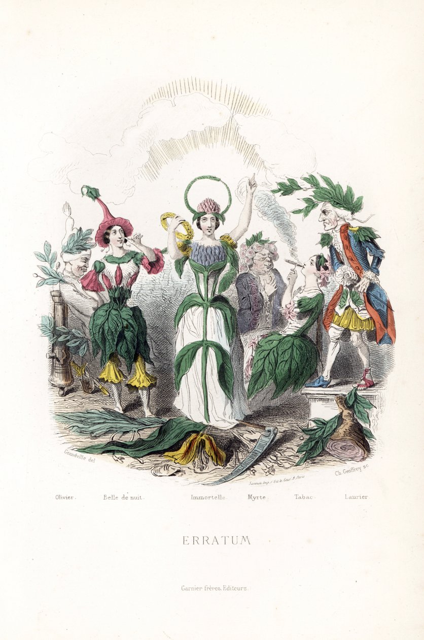 Les fées des fleurs, celle de l