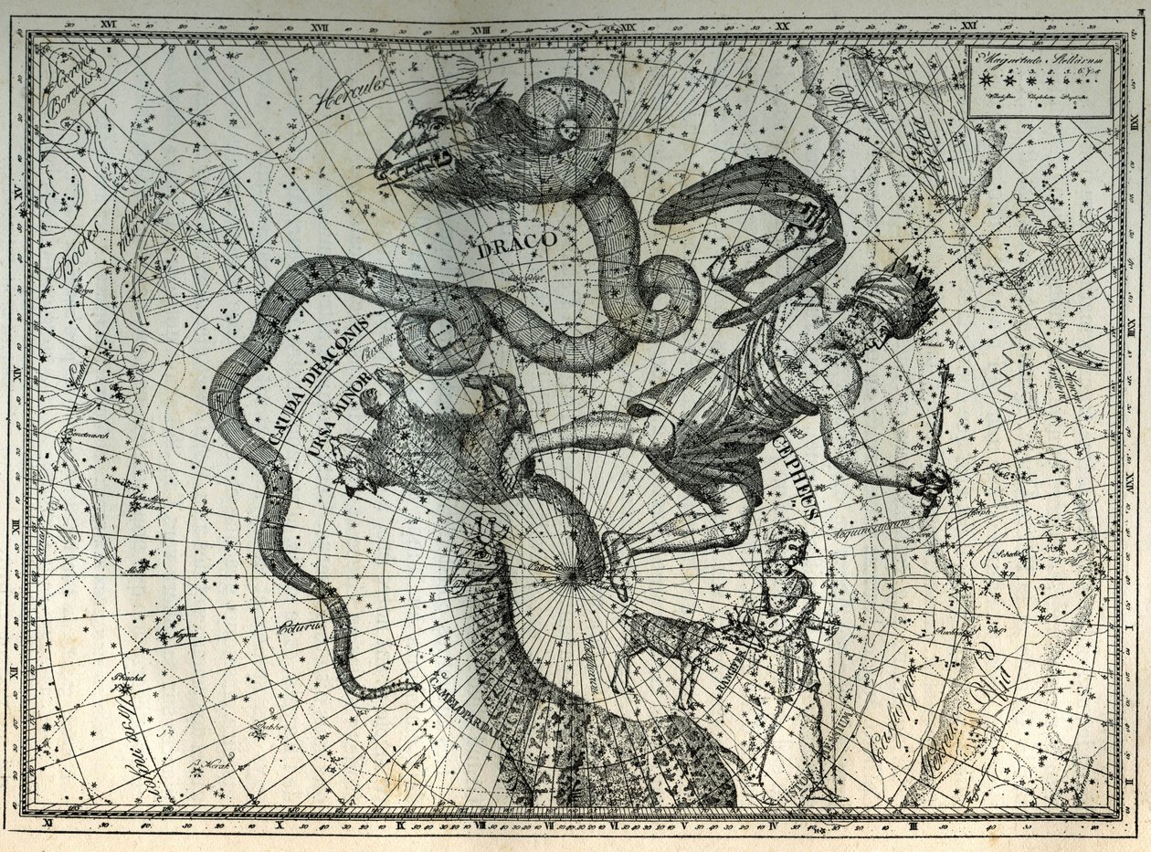 Les constellations proches du pôle Nord : Petite Ourse, Dragon, Céphée, Girafe, Renne et Messier. Gravure tirée de « Les étoiles et les autres curiosités du ciel » de Camille Flammarion - Unbekannt