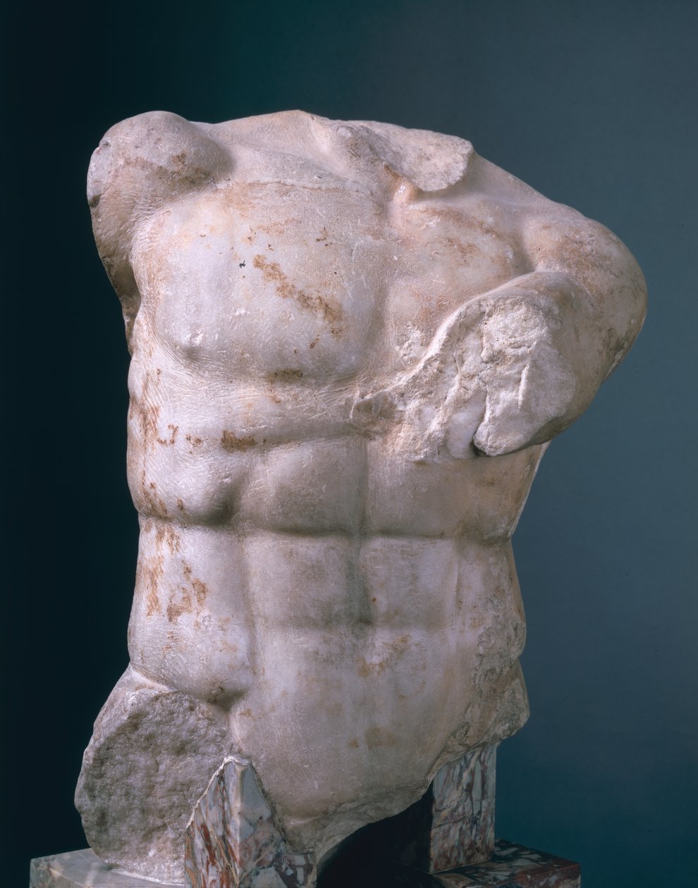 Torse d