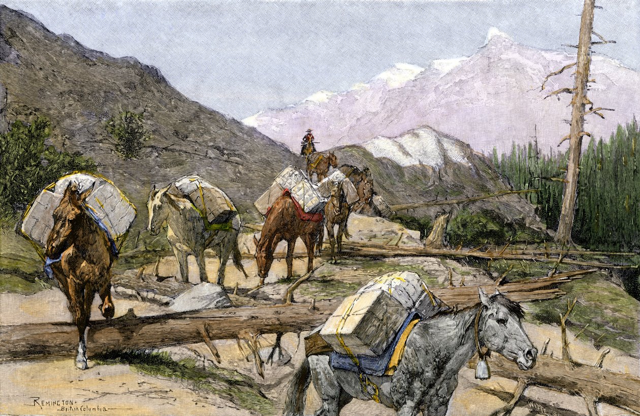 Transport de fournitures et de fourrures à cheval dans les montagnes Rocheuses, USA - Unbekannter Künstler