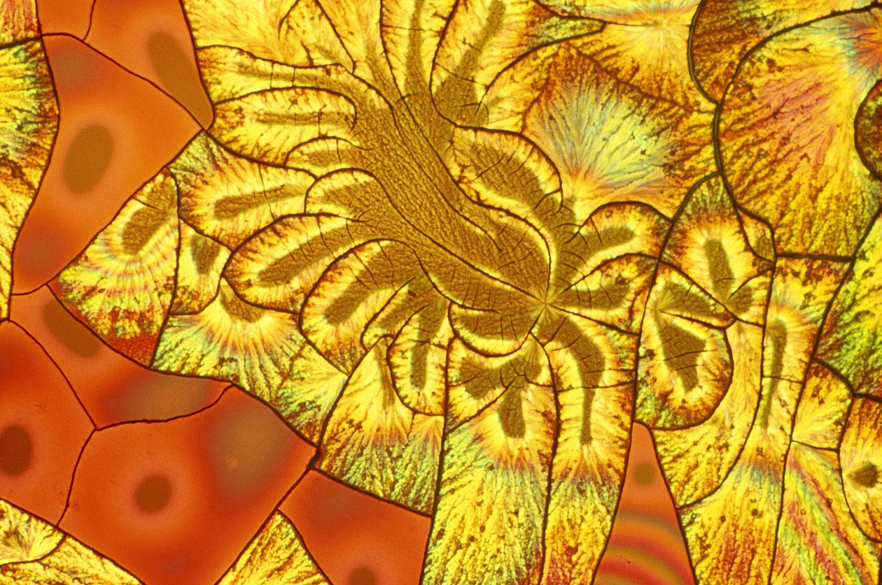 VITAMINES, LM Mélange d