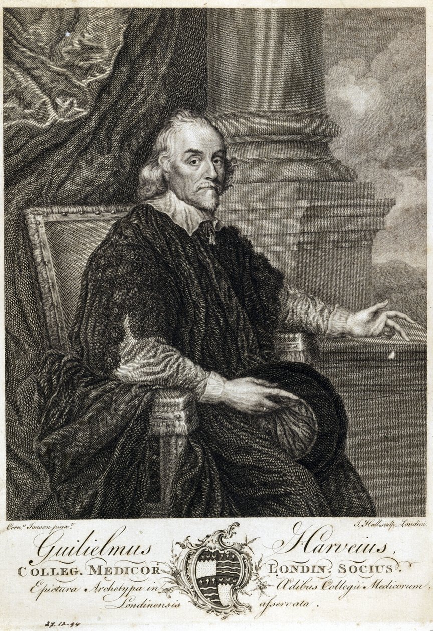 William Harvey, médecin anglais - Unbekannt