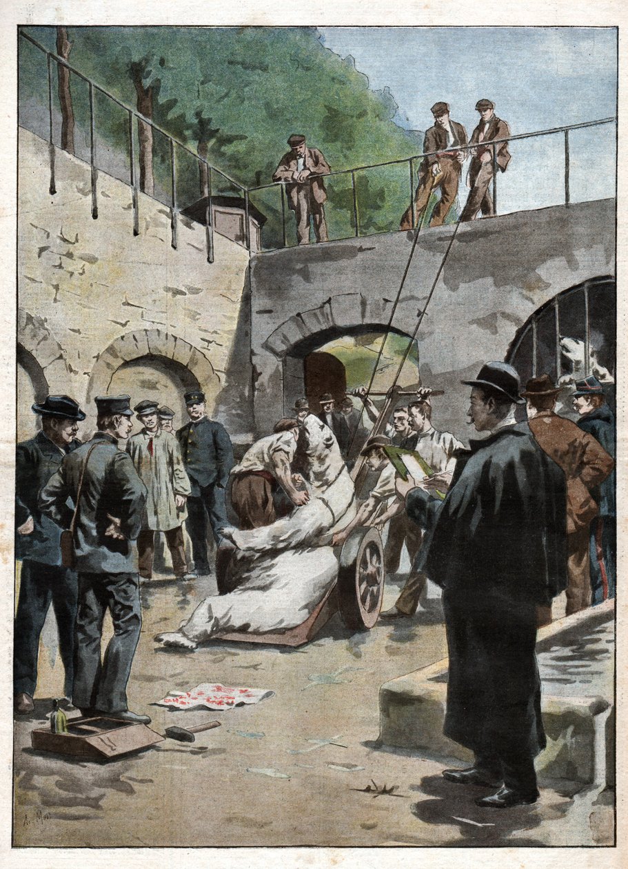 Zoo du Jardin des Plantes - Nicolas Liez