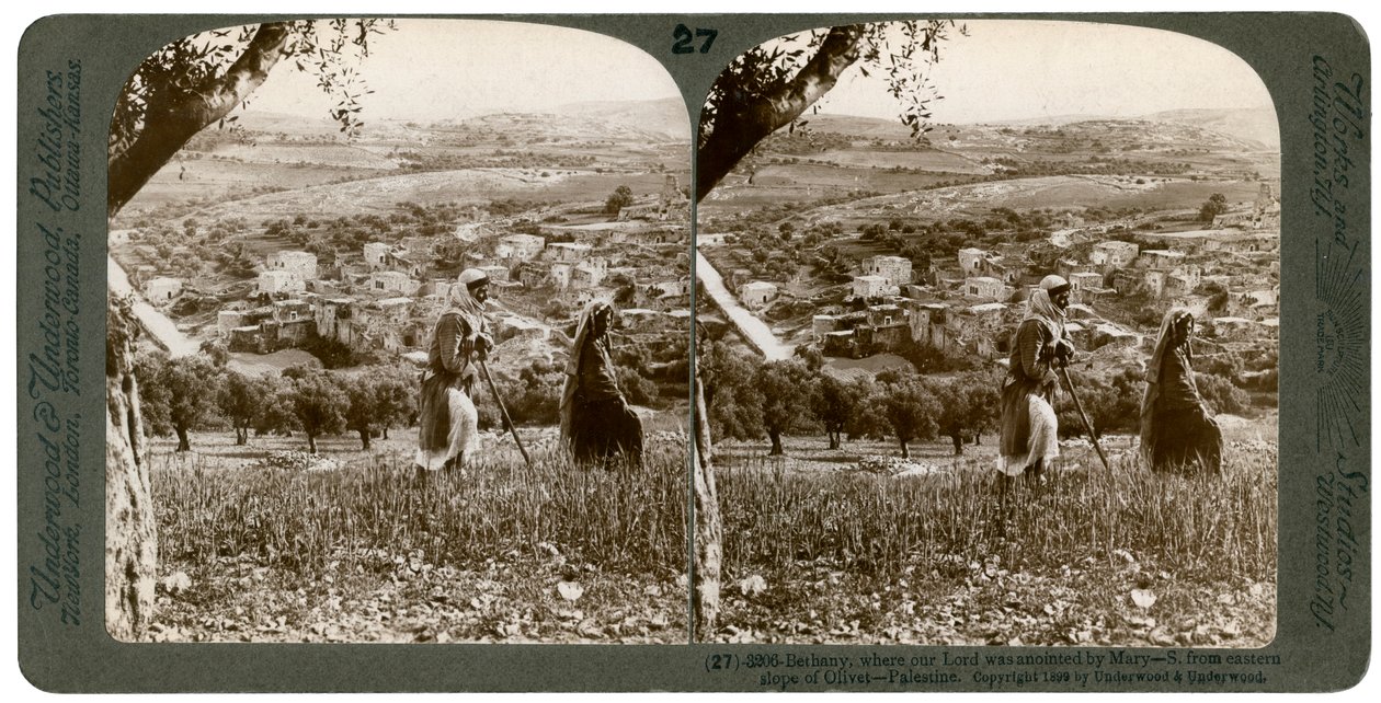 Béthanie, vue depuis le versant est du Mont des Oliviers, Palestine, 1899 - Underwood and Underwood