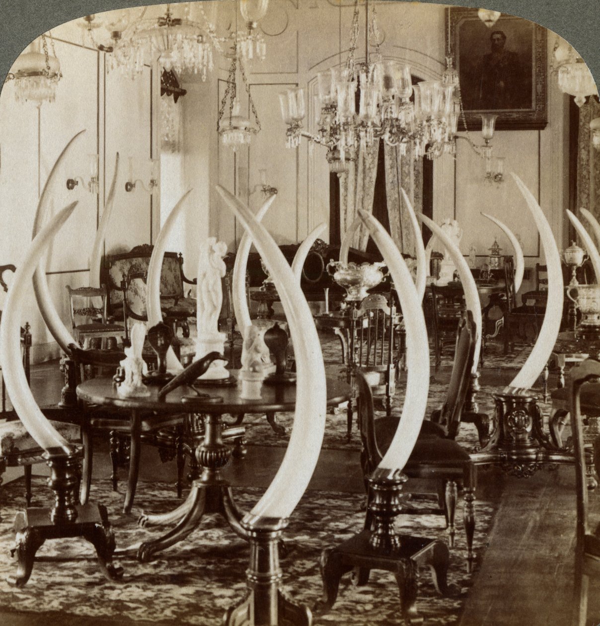 Salle des défenses, dans la maison de Lady de Soysa, Bambalapitiya, Colombo, Ceylan, 1903 - Underwood and Underwood