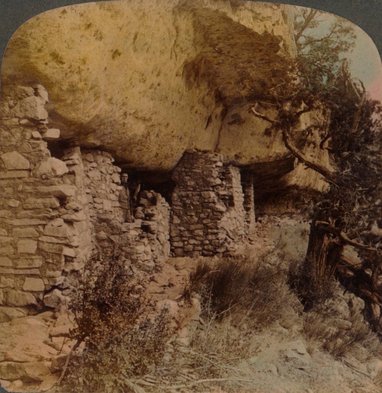 Maisons d